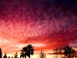 Cemetery On The Background Of Crimson Sky Free Image