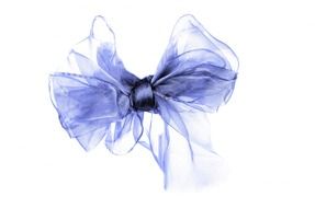 purple bow for a gift on a white background