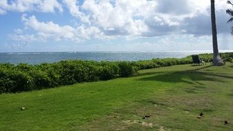 green meadow near the beach
