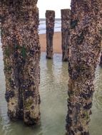 An unusual beach in domburg