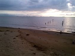 landscape of the sand beach at the sunset light