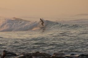 morning surfer