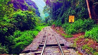 railway line along the tropics