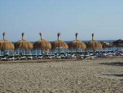 reed parasol on the beach