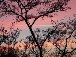 Romance atmosphere at the sunset