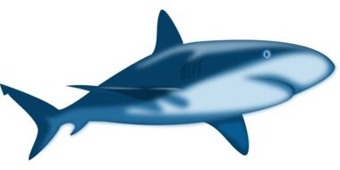 drawing of a blue predatory shark on a white background