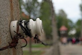 the fence of the camp Auschwitz