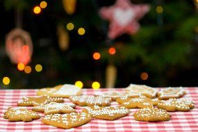 gingerbread biscuit