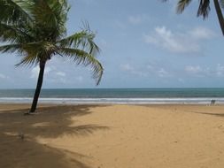 landscape of tropics on the ocean