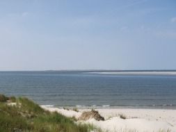 sand dunes on the beach