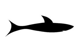 black silhouette of a shark on a white background