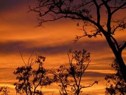 orange glow in the sky during sunset