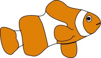 Picture of clown fish