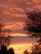 red sunset in the evening sky