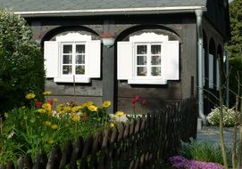house with white windows
