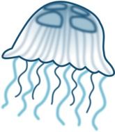 drawing jellyfish with tentacles