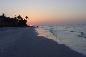 sunrise over palm trees over the beach