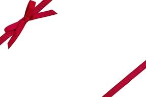 decoration on a photo with a red bow