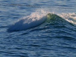 Wave of the ocean