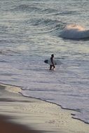 surf wave