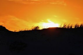 sunset over the sand dune