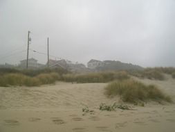 beach sand with grass