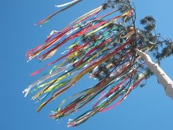 ribbons on the may tree
