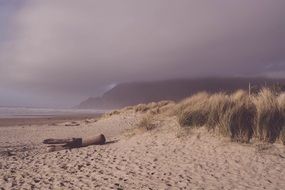 Sayan sand beach and foggy mountains