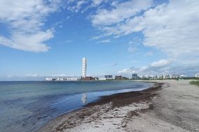 sandy beach on the swedish coast