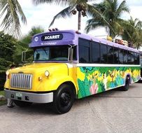 bright painted bus beneath palm trees, mexico, cancun