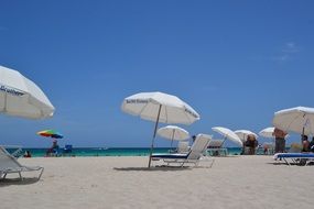 white beach umbrellas on a sunny beach