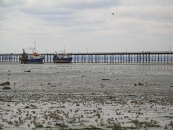 Beach in southend