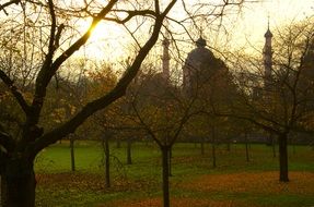 mosque behind the trees in schwetzingen