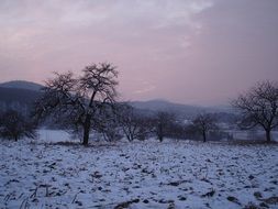 wintry evening in countryside, france, sundgau