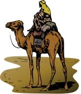 vector camel and rider in desert