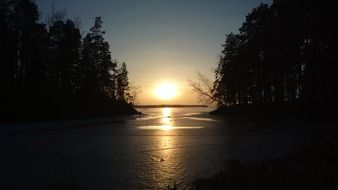 sunset on forested coast