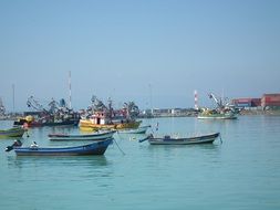 many colorful fishing boats in the harbor
