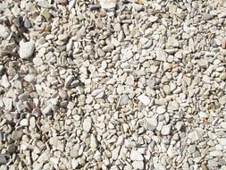 white pebbled beach