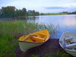 yellow and white boats