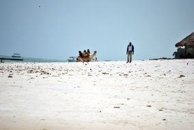 beach coast
