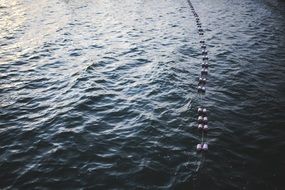 safety buoys along rope on water