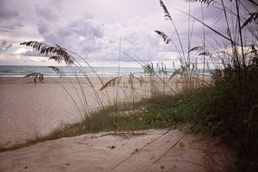 sand beach dunes on a cloudy day