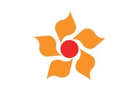 flag with the sun in the form of a flower