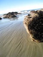 moeraki boulders sea, new zealand