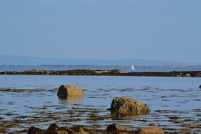 wonderful beach sea