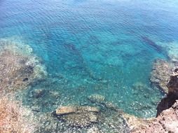 Landscape of Beach in fuerteventura