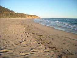 traces of seagull on the sand in California