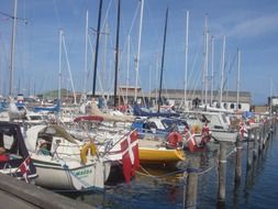 boats at the marina in Denmark