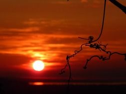 beautiful red orange sunset over lake constance