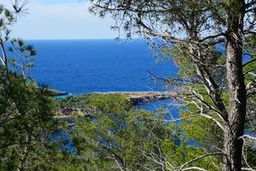 rocky coast of Ibiza island